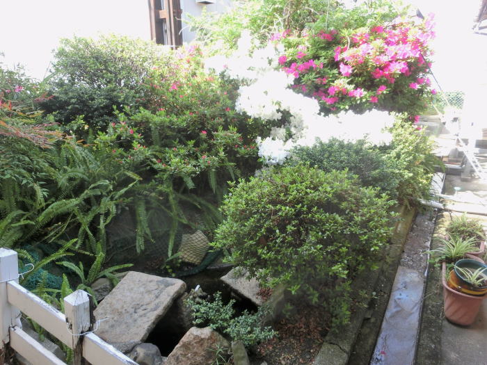 汐見橋駅の小さな庭園